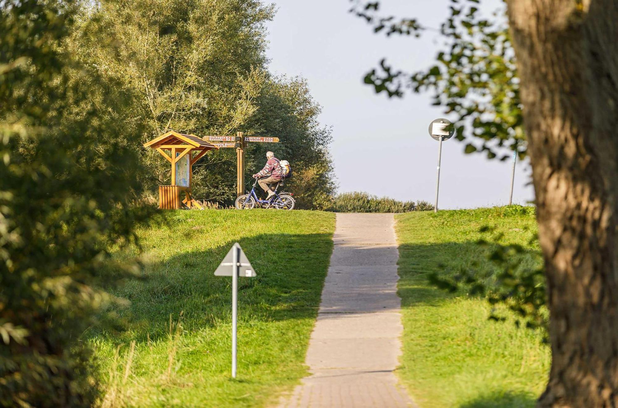 Seeschwalbe In Der Alten Seefahrtschule Wustrow  Εξωτερικό φωτογραφία